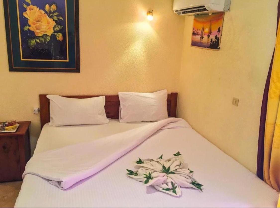 Golden Europe Hotel Dahab Kültér fotó